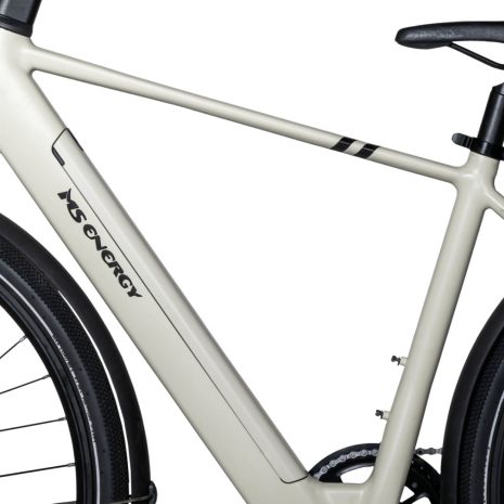MS Energy C40 Electric Bike