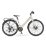 MS ENERGY c30 Electric Bike