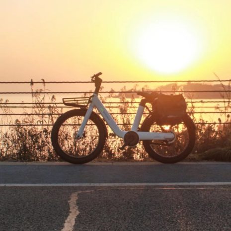 MS Energy Cityzen C102 Electric Bike