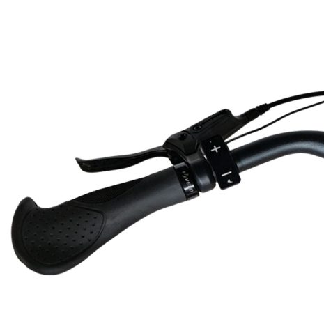 MS Energy SUV c502 Electric Bike