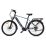 MS Energy c101 Electric Bike