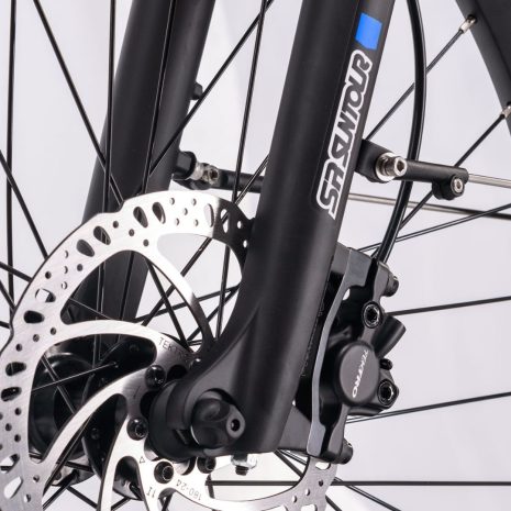 MS Energy c101 Electric Bike