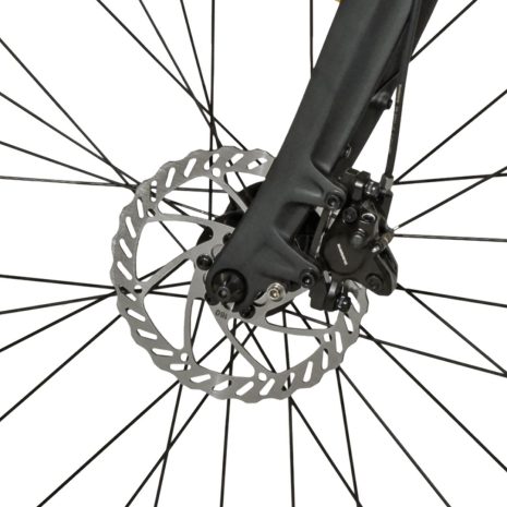 MS Energy c300 Electric Bike
