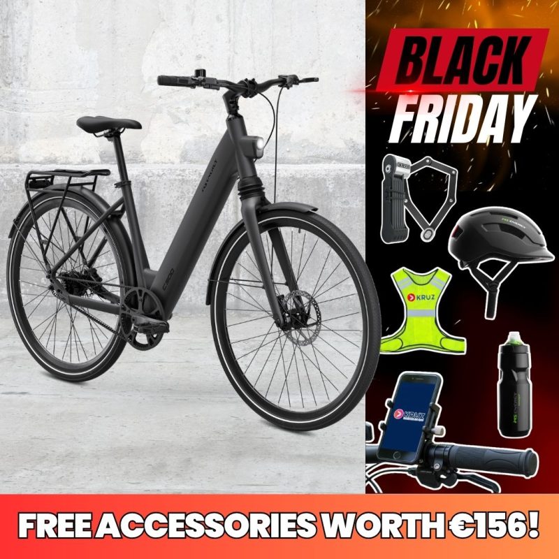 MS Energy C300 Electric Bike